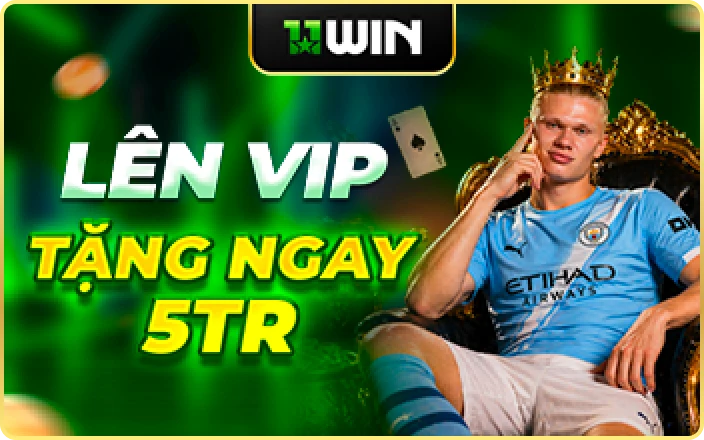 11WIN Banner 6